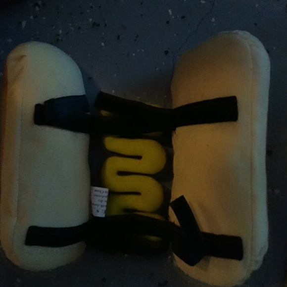 Dog - Picture 5 of 5